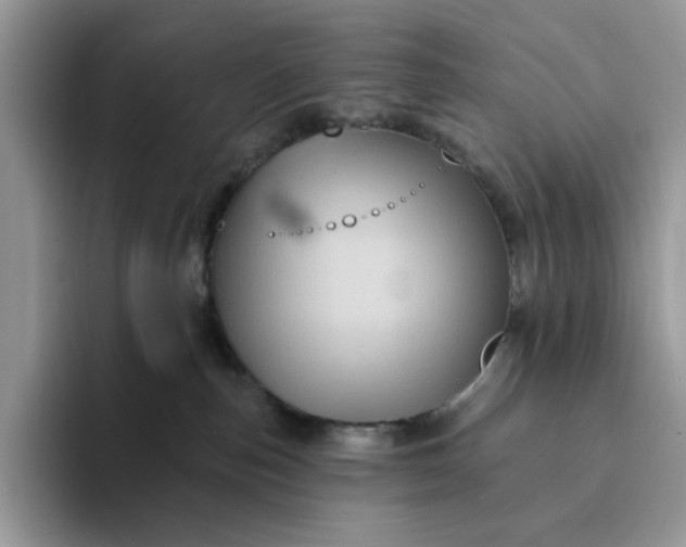 X0000094190187200711091208