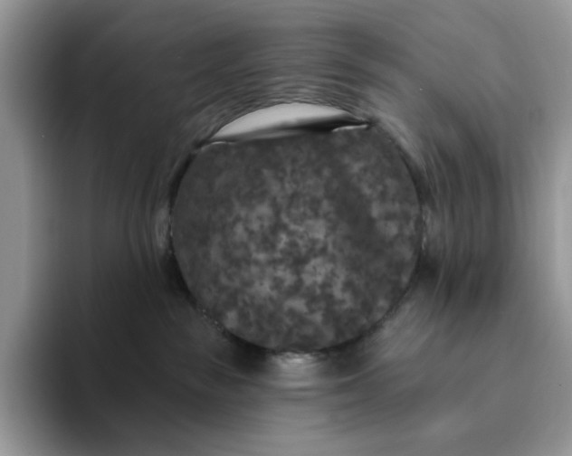 X0000094190189200711091208