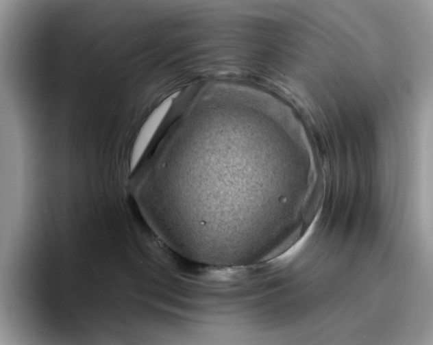 X0000094190190200711091208