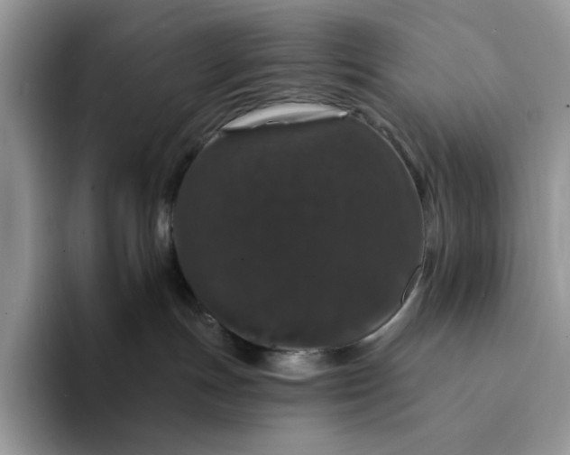 X0000094190191200711091208