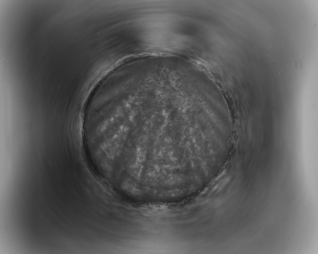 X0000094190194200711091207