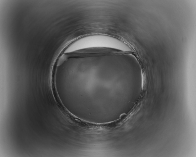 X0000094190195200711091207