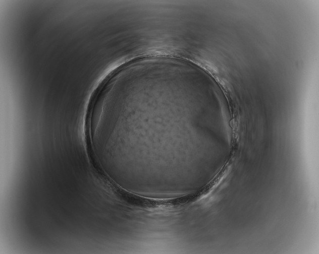 X0000094190196200711091207