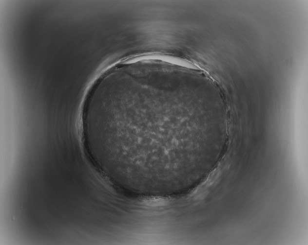 X0000094190198200711091207