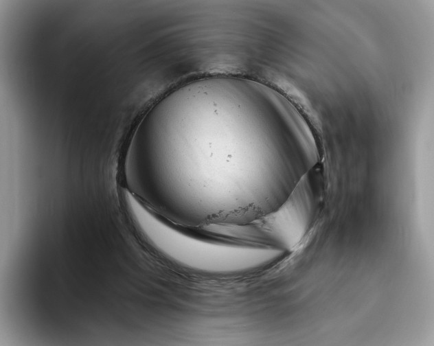 X0000094190201200711091207