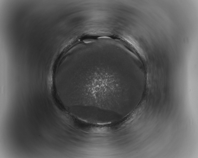 X0000094190202200711091207