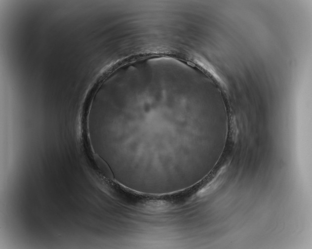 X0000094190203200711091207