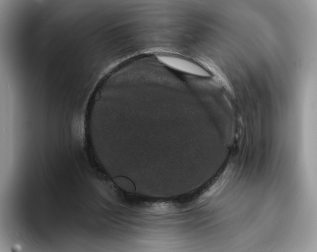 X0000094190204200711091207