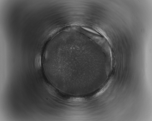 X0000094190205200711091207