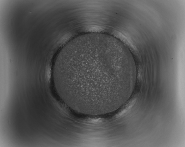 X0000094190206200711091207