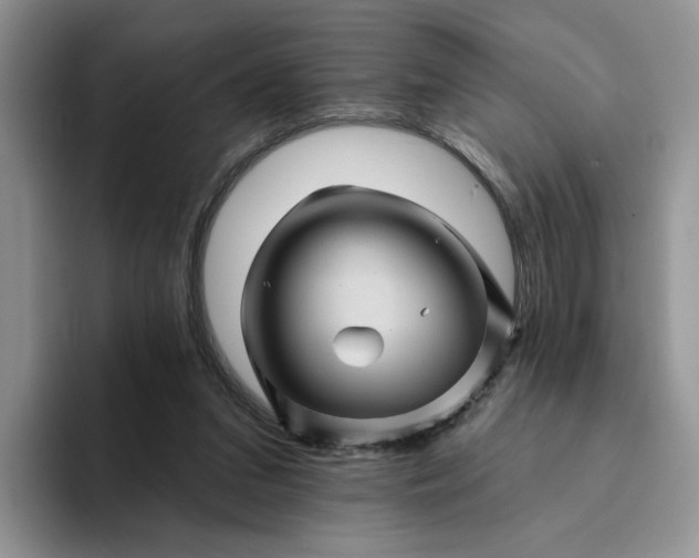 X0000094190207200711091207