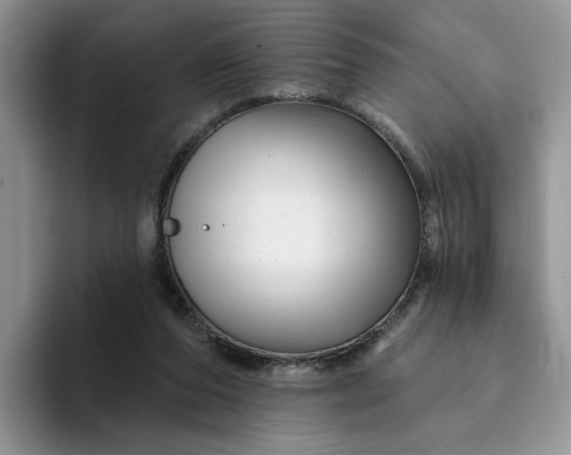 X0000094190208200711091207