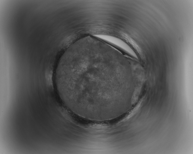 X0000094190209200711091207