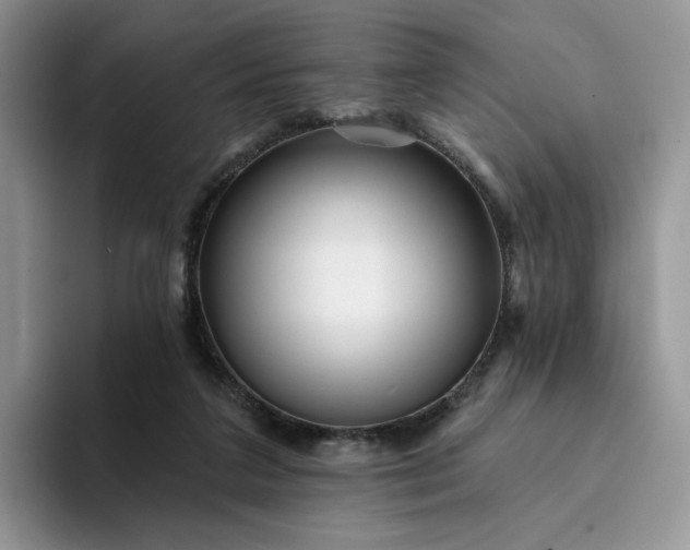 X0000094190211200711091207