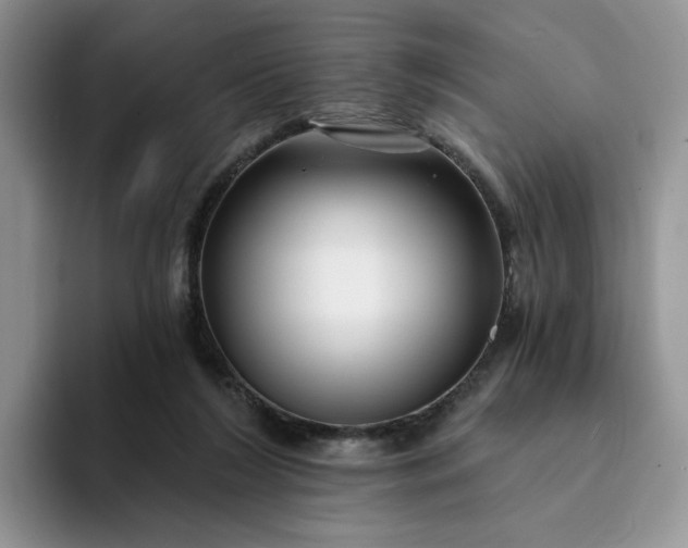 X0000094190212200711091207