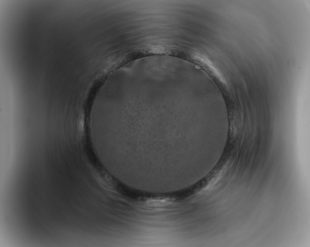 X0000094190213200711091207