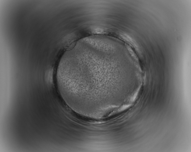 X0000094190217200711091207