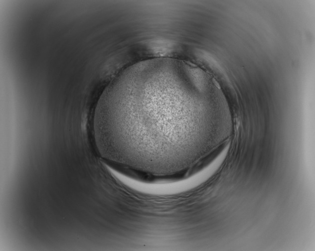 X0000094190221200711091207