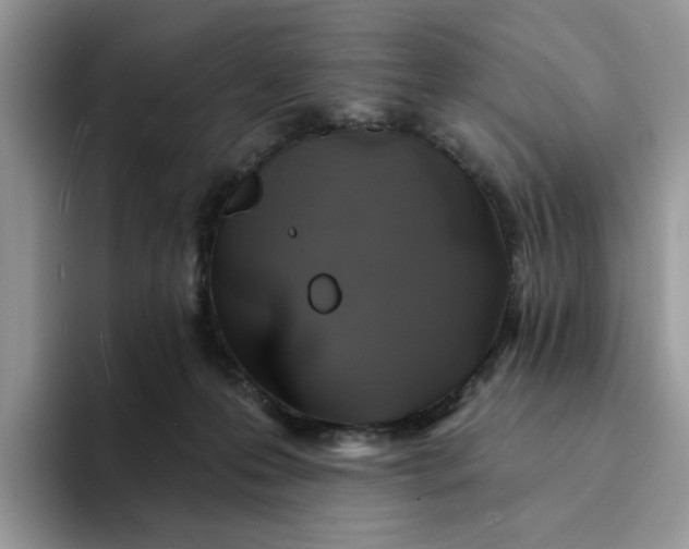 X0000094190223200711091207