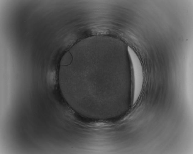 X0000094190224200711091207