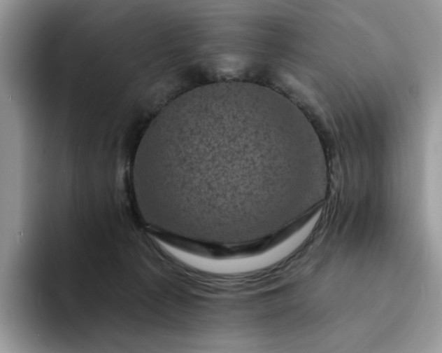 X0000094190225200711091207