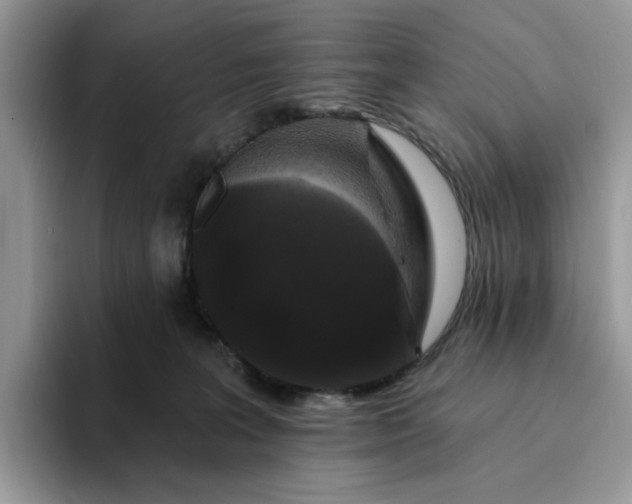 X0000094190227200711091207