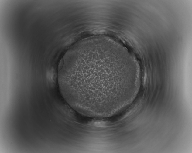 X0000094190228200711091207