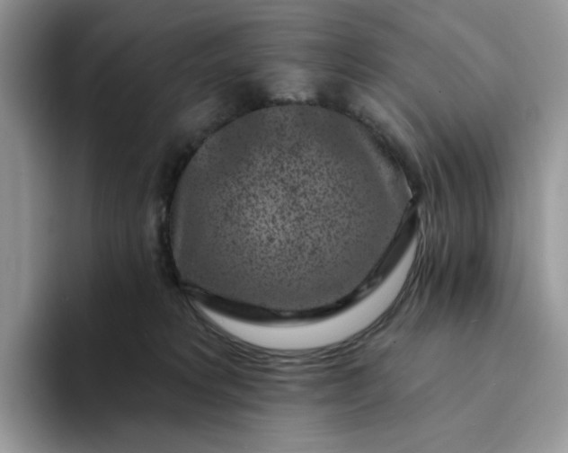 X0000094190229200711091207