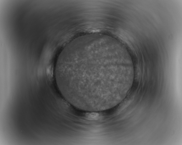 X0000094190230200711091207