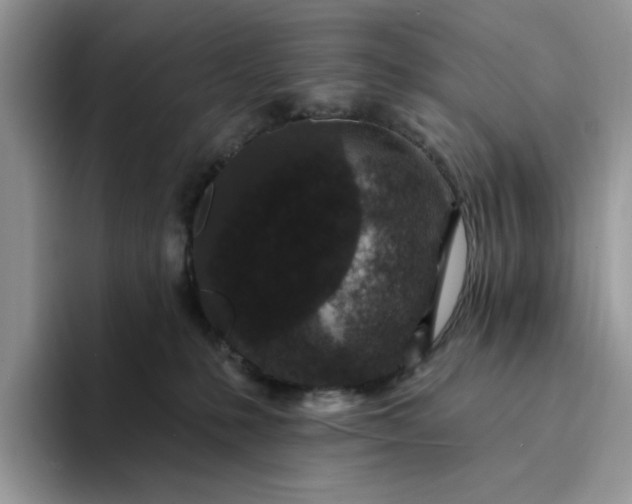 X0000094190231200711091207