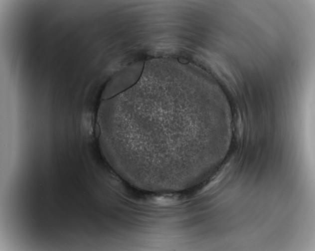 X0000094190232200711091207