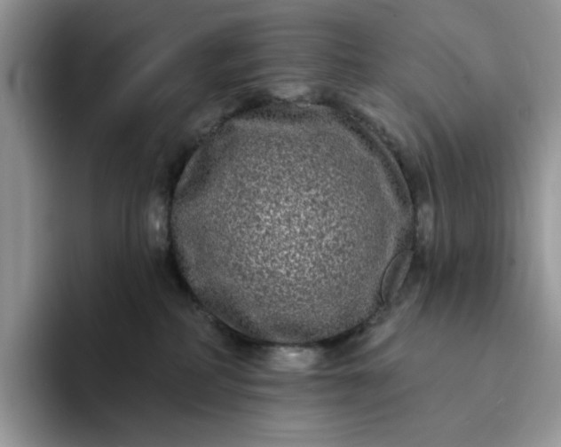 X0000094190234200711091207