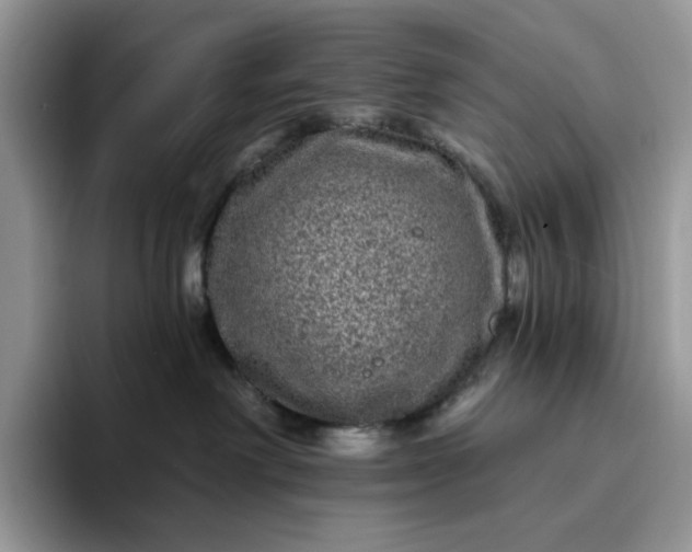 X0000094190238200711091207