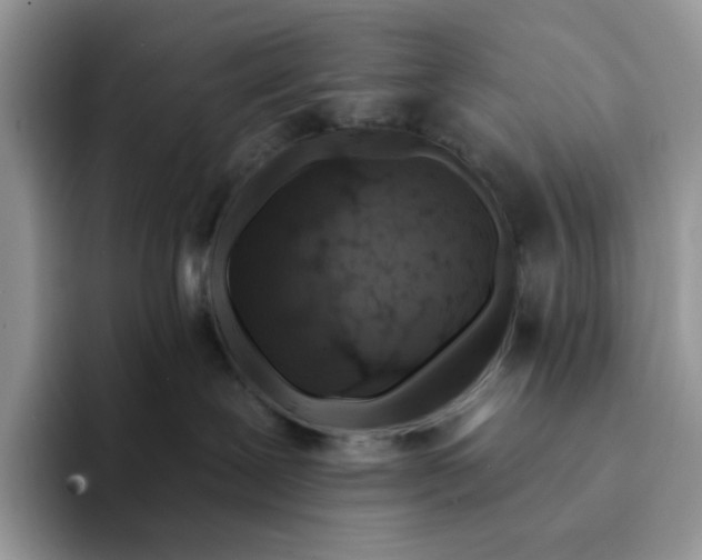 X0000094190239200711091207