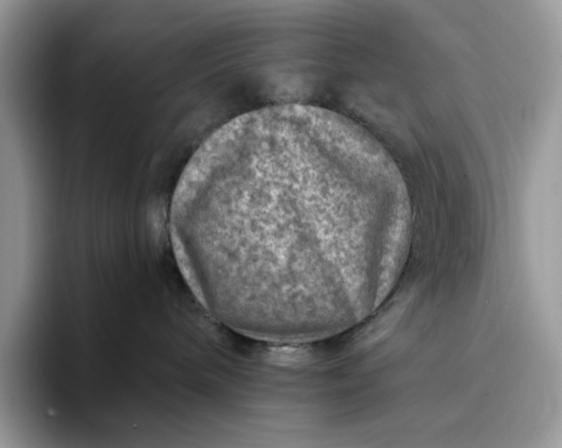 X0000094190240200711091207