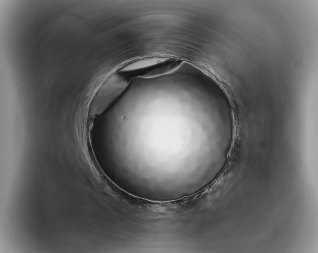 X0000094190241200711091206