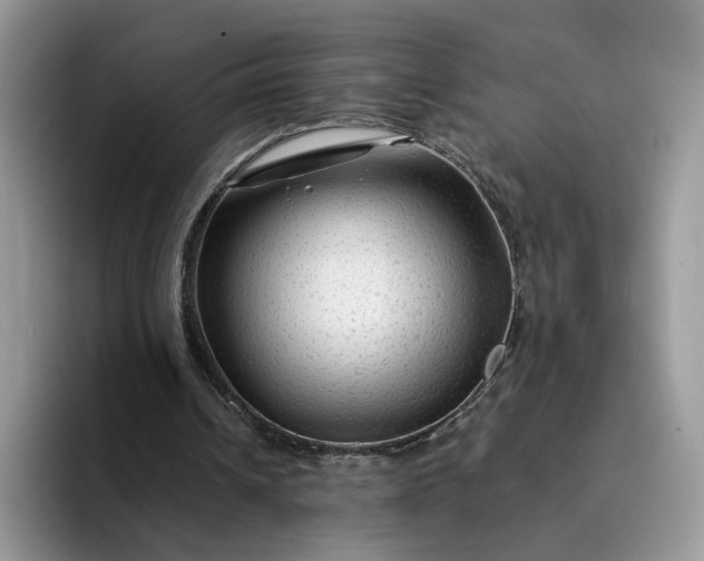 X0000094190242200711091206