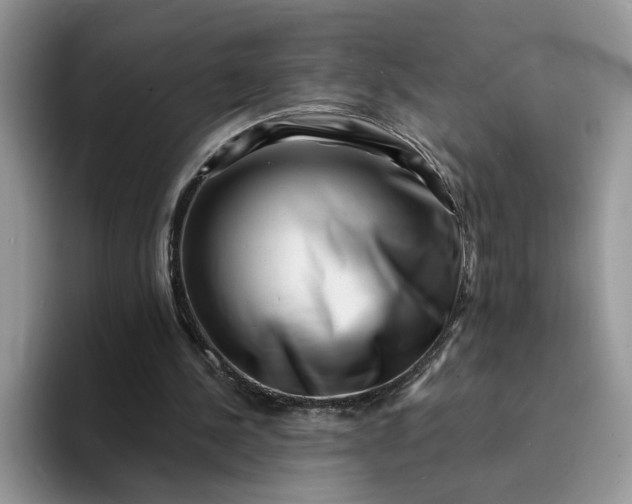 X0000094190244200711091206