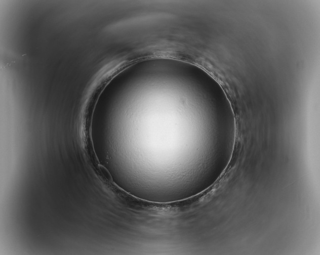 X0000094190245200711091206