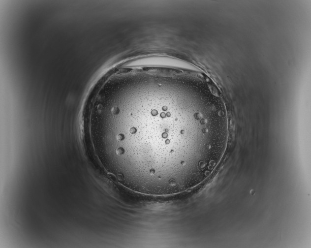 X0000094190246200711091206