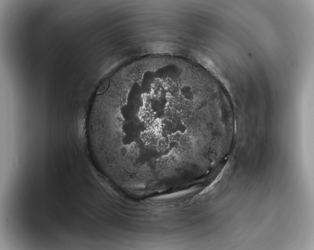 X0000094190249200711091206