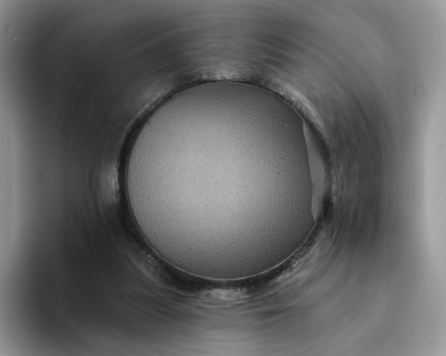 X0000094190251200711091206