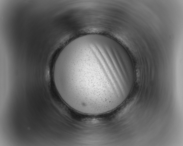 X0000094190254200711091206