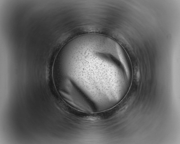 X0000094190255200711091206