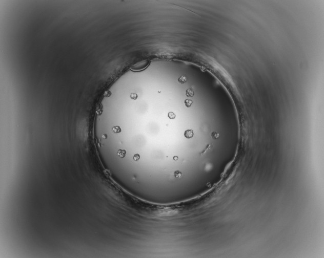 X0000094190257200711091206