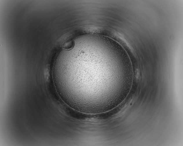 X0000094190259200711091206