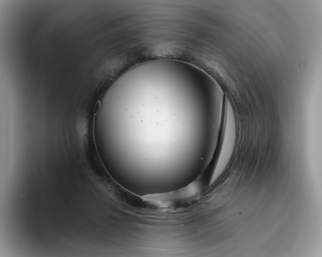 X0000094190260200711091206