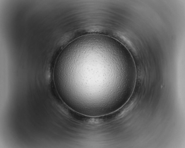 X0000094190261200711091206