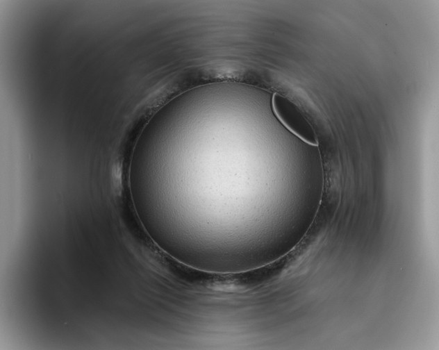 X0000094190262200711091206