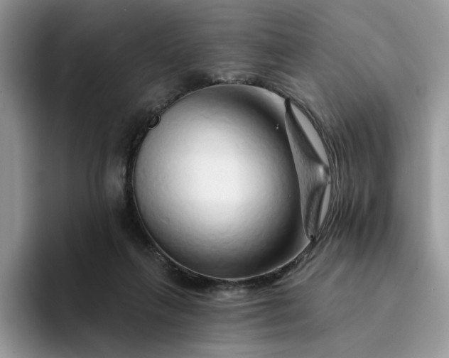 X0000094190263200711091206